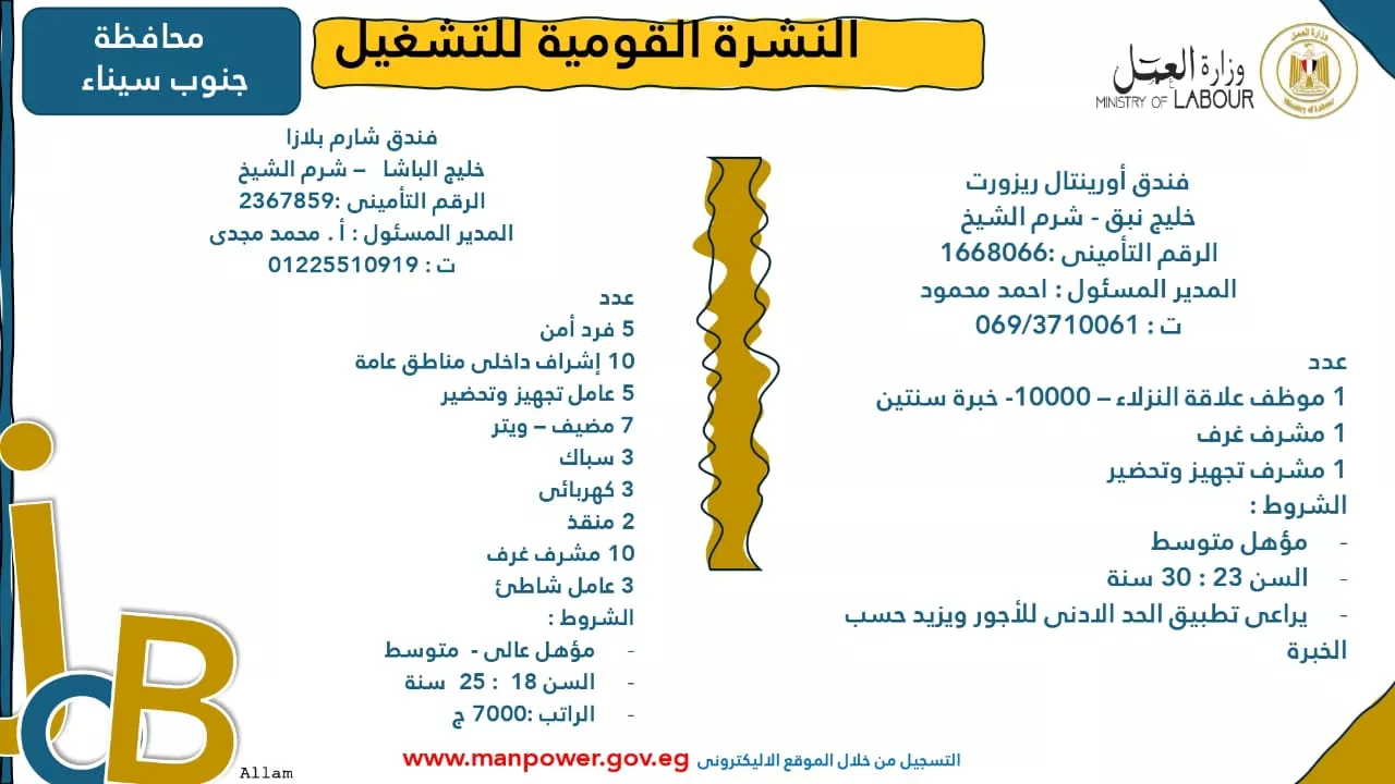 فرص عمل جديدة متاحة في مختلف المحافظات (31)