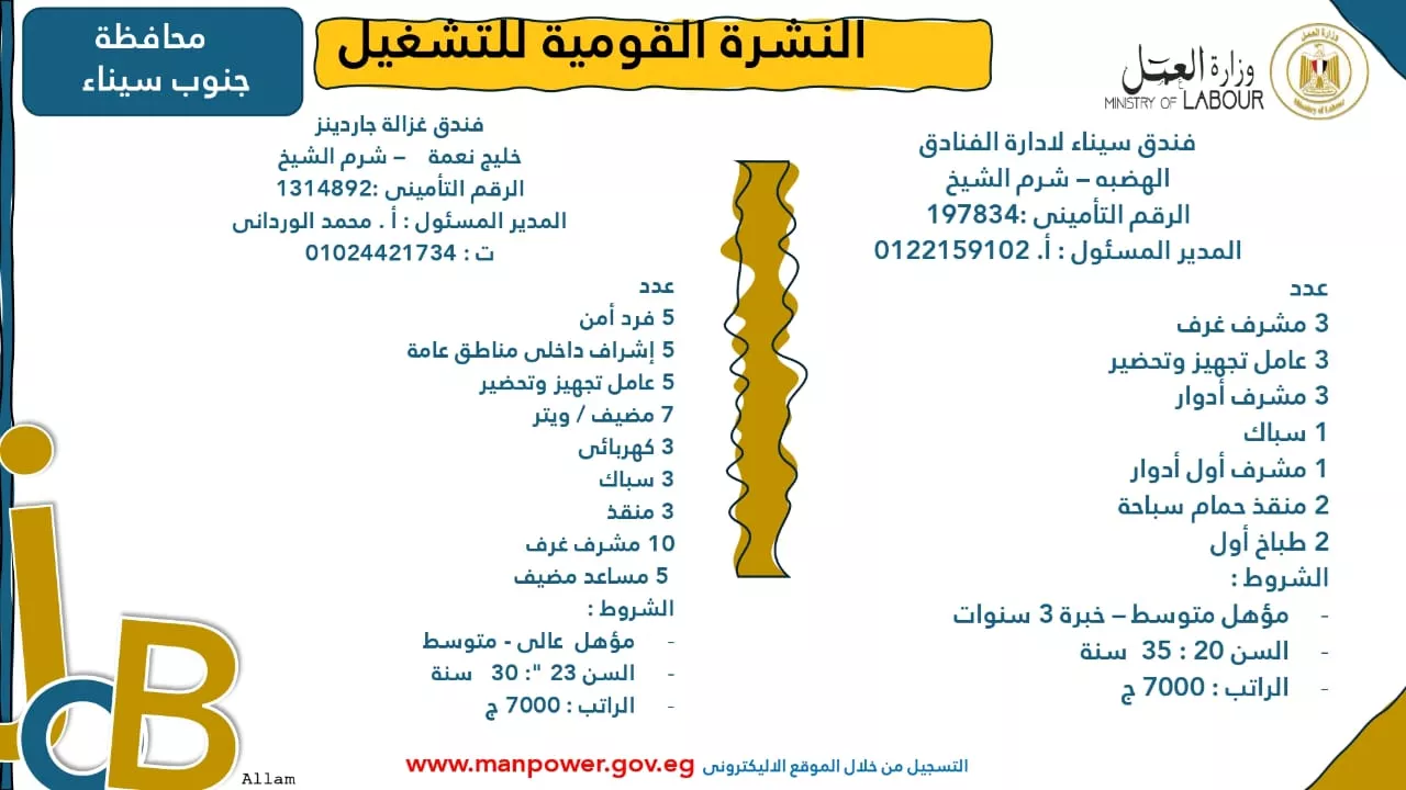 فرص عمل جديدة متاحة في مختلف المحافظات (33)