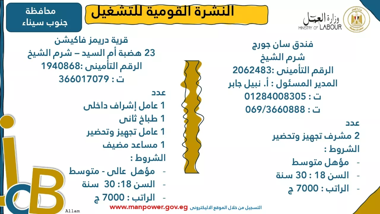 فرص عمل جديدة متاحة في مختلف المحافظات (37)