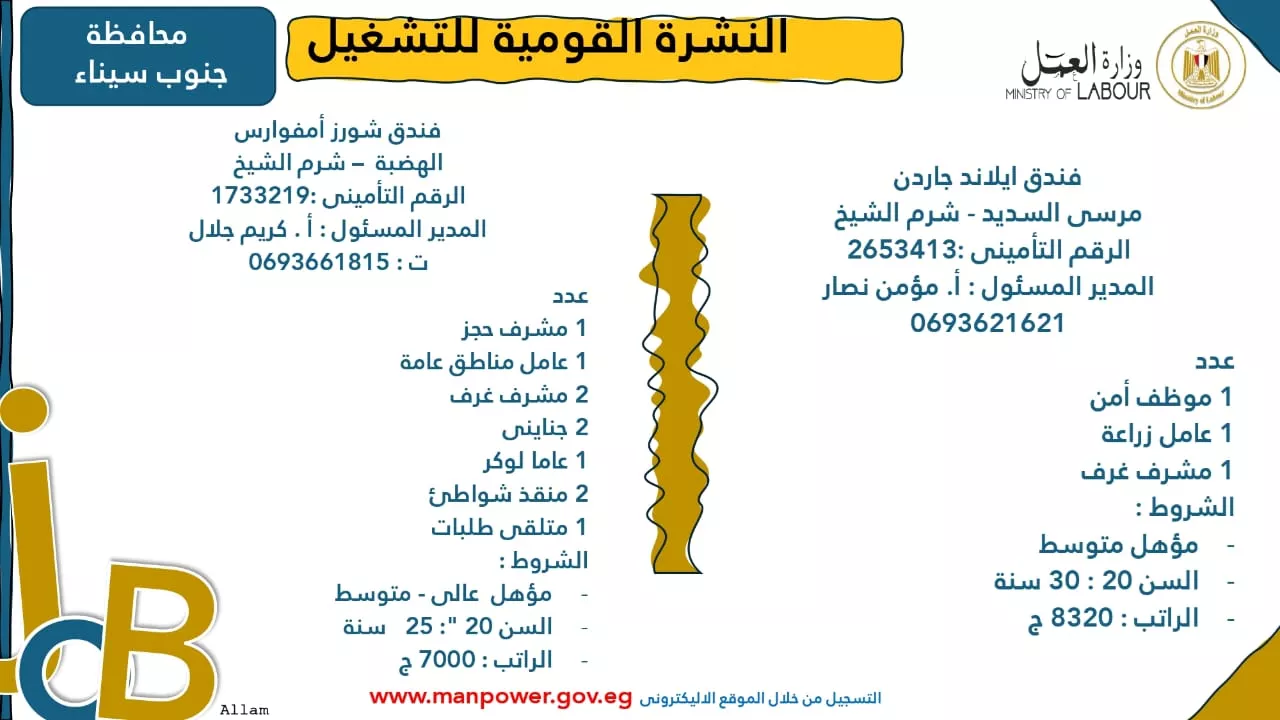 فرص عمل جديدة متاحة في مختلف المحافظات (40)