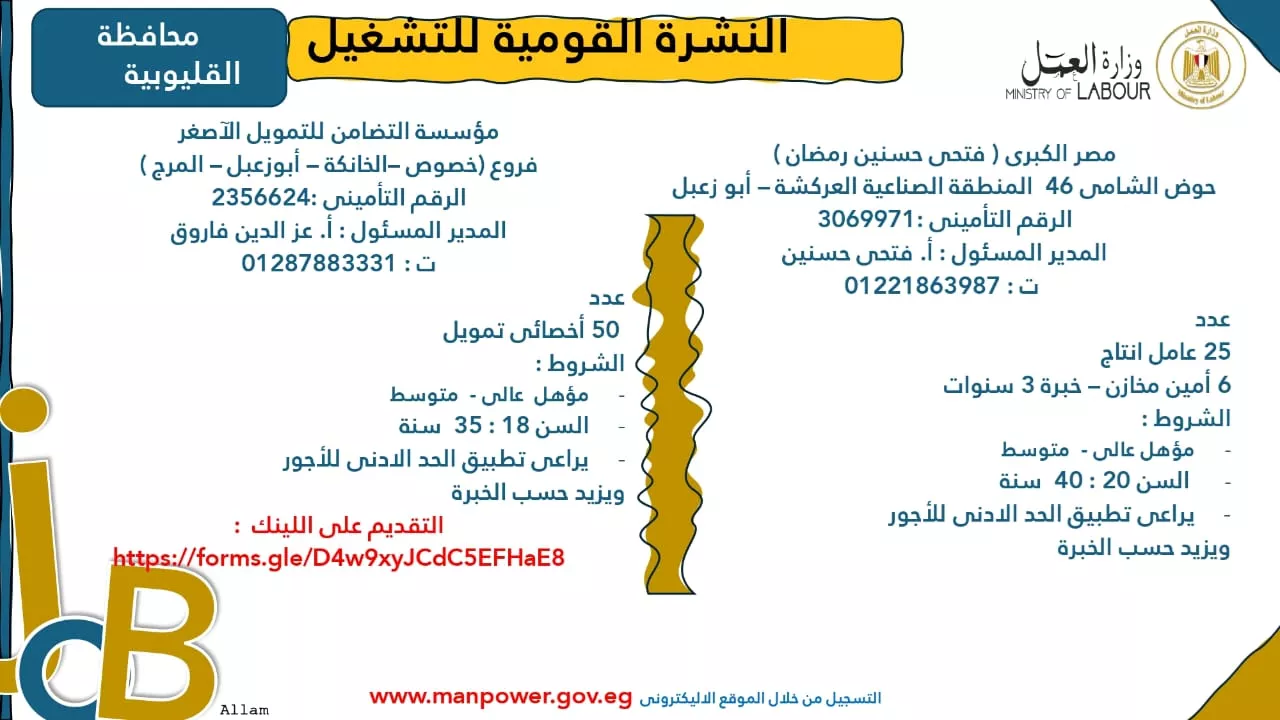 فرص عمل جديدة متاحة في مختلف المحافظات (41)