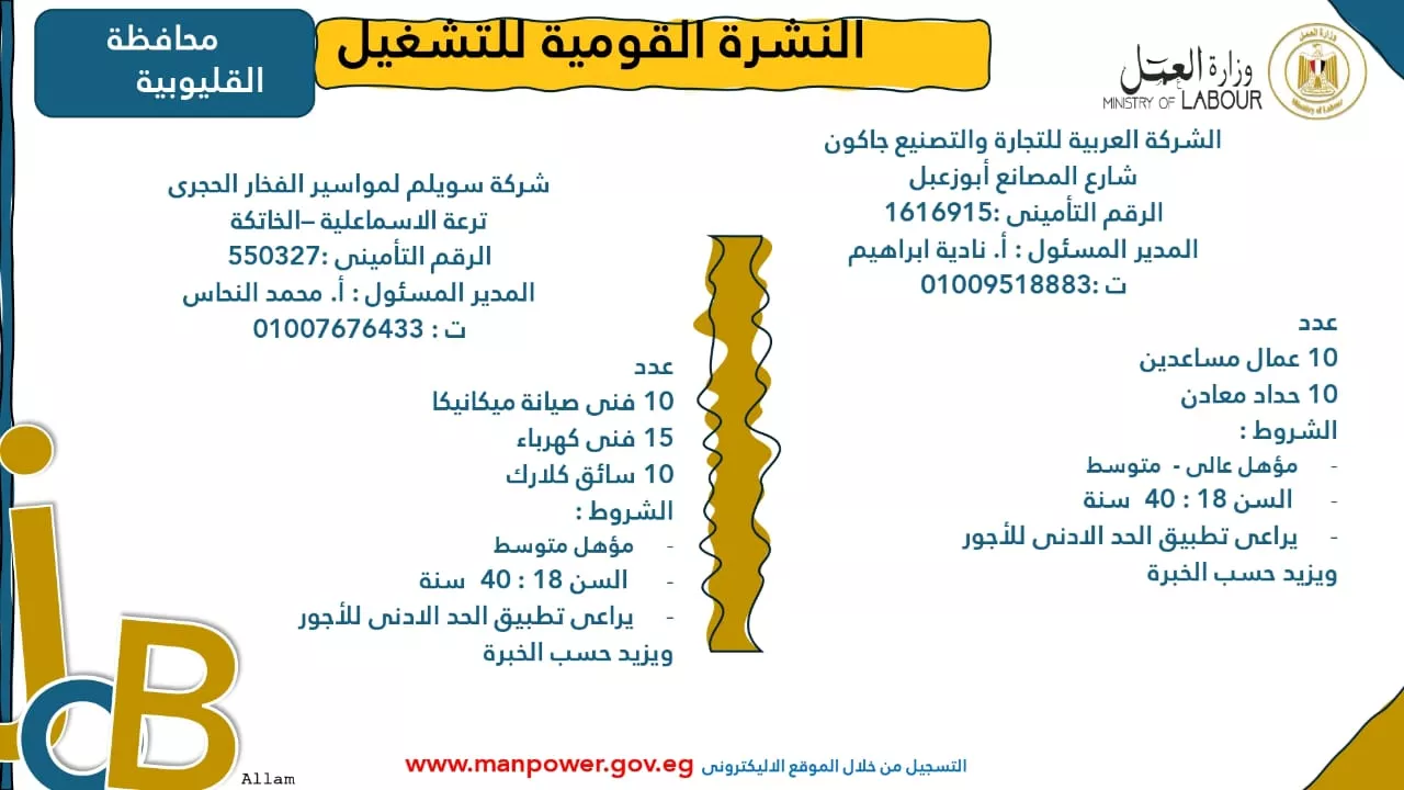 فرص عمل جديدة متاحة في مختلف المحافظات (54)