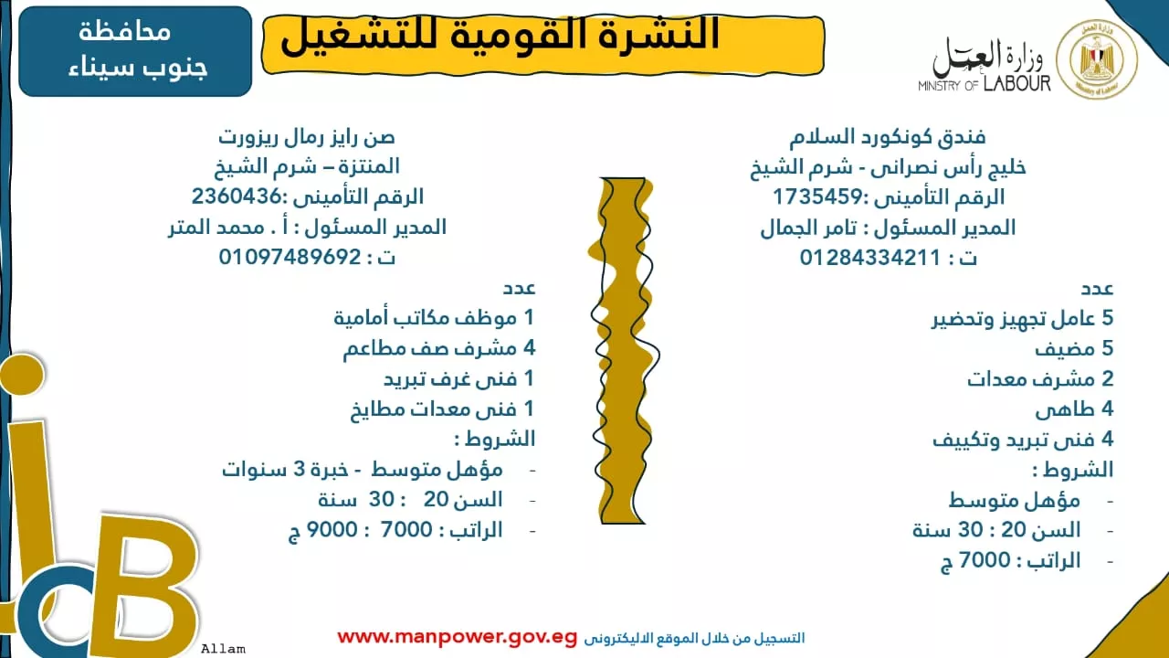 فرص عمل جديدة متاحة في مختلف المحافظات (55)