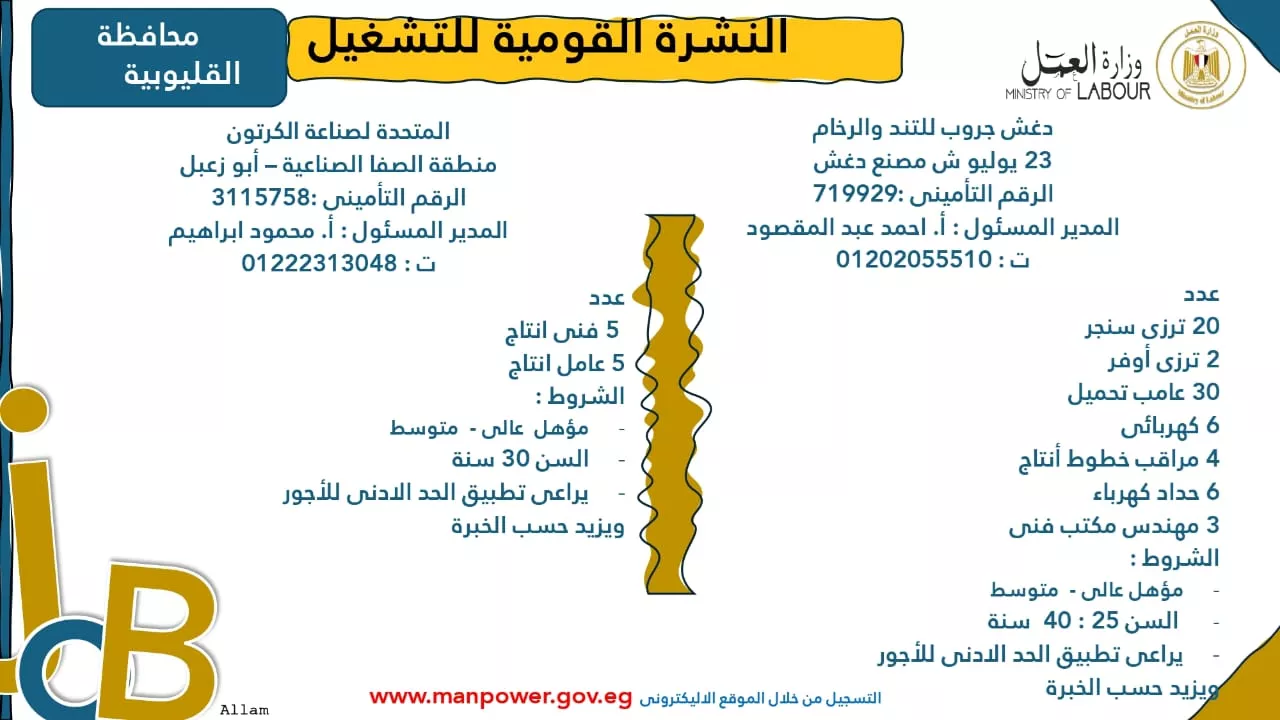 فرص عمل جديدة متاحة في مختلف المحافظات (46)