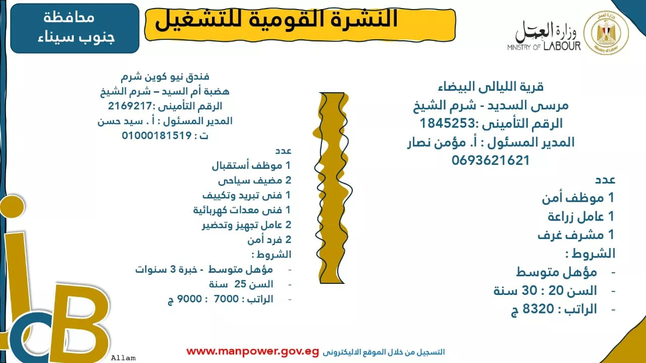 فرص عمل جديدة متاحة في مختلف المحافظات (43)