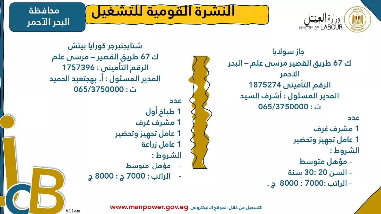 فرص عمل جديدة متاحة في مختلف المحافظات (67)