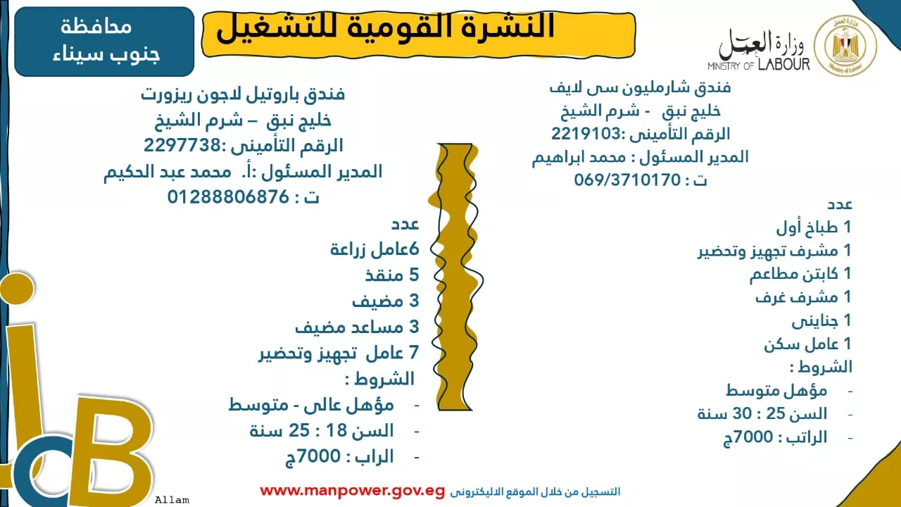فرص عمل جديدة متاحة في مختلف المحافظات (69)