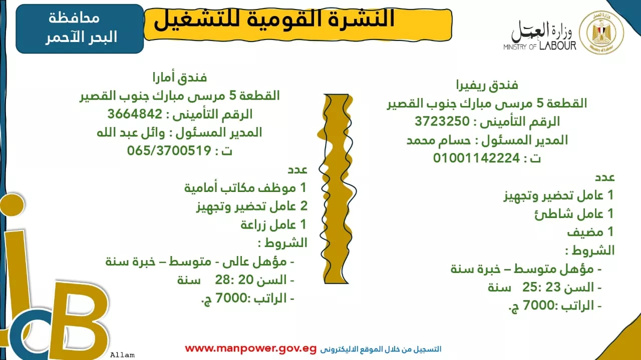 فرص عمل جديدة متاحة في مختلف المحافظات (49)
