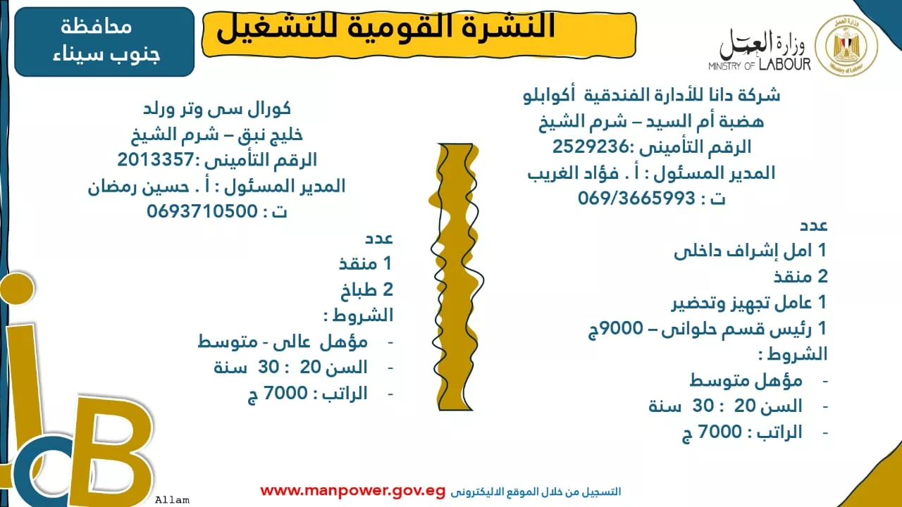 فرص عمل جديدة متاحة في مختلف المحافظات (50)