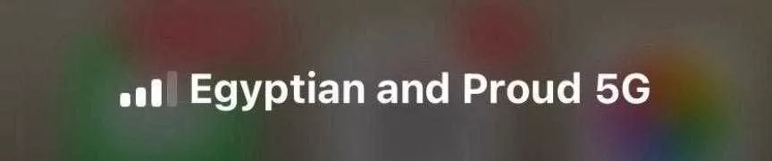 شركة اورنچ مصر