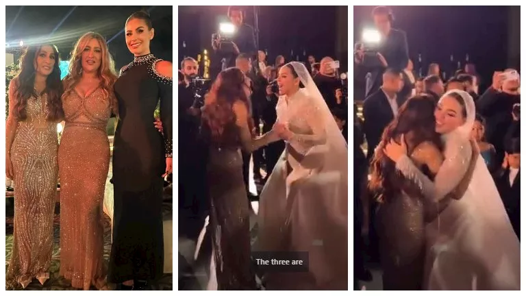 زفاف فريدة محمد هنيدي