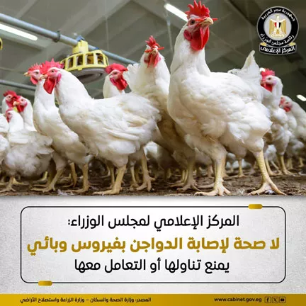 501367699_1240379104799174_3808110878720536344_n