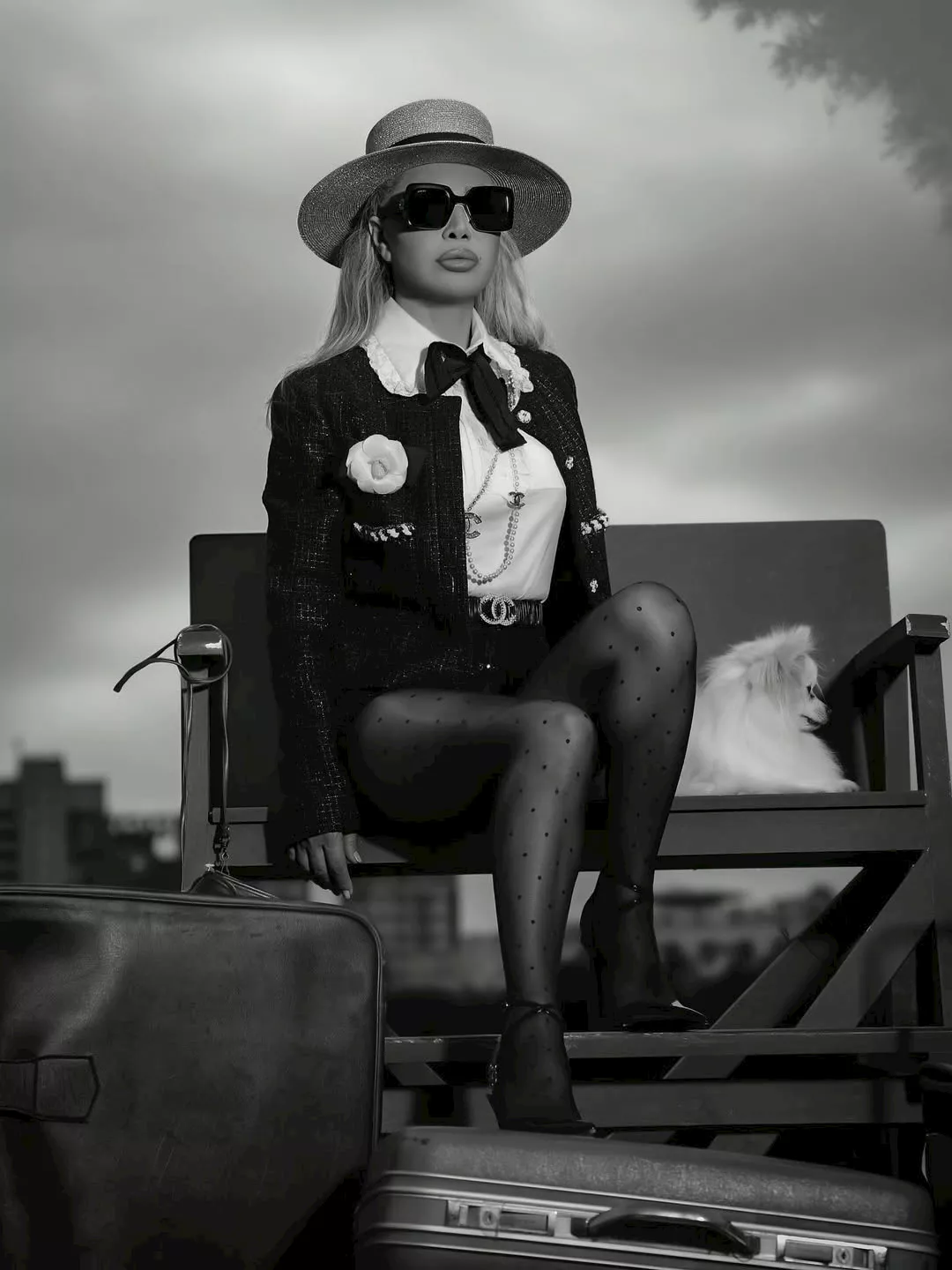 نوال الزغبي