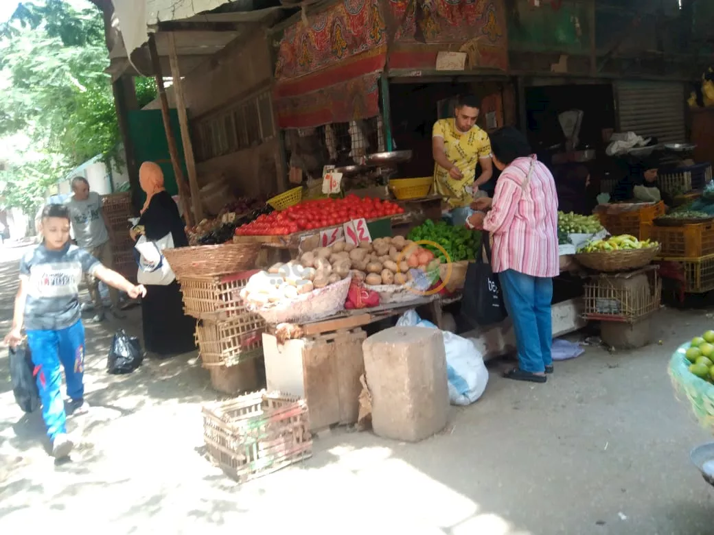 5b513d23-8c1f-4d0f-8cc4-8d8f38b5042f