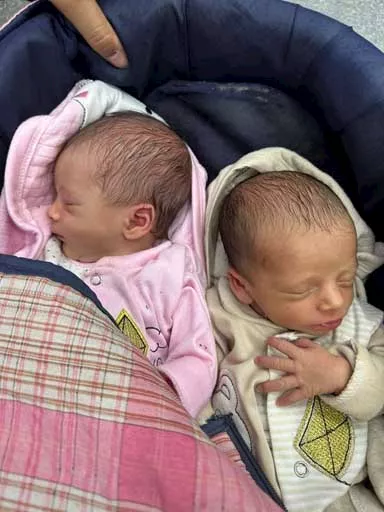 طفلين توأم حديثي الولادة (1)