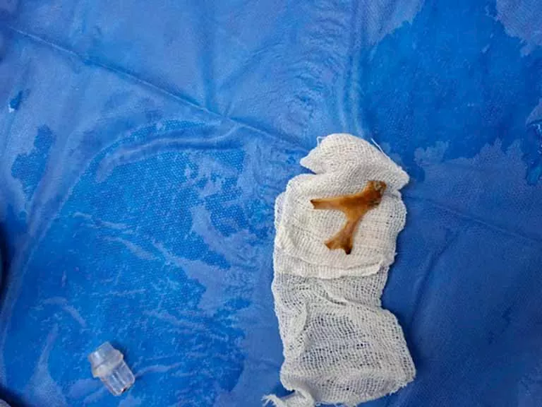 536270775_1165535128931308_2114787844689604111_n