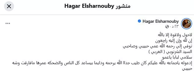 هاجر الشرنوبي