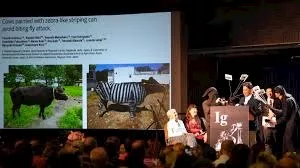 صورة 3 نوبل_3