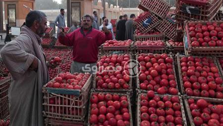 4 جنيهات لكيلو الطماطم.. أسعار الخضروات والفاكهة بسوق العبور اليوم السبت