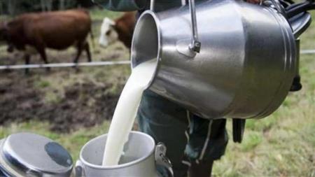 انخفاض سعر اللبن السائب وارتفاع الأرز بالأسواق اليوم