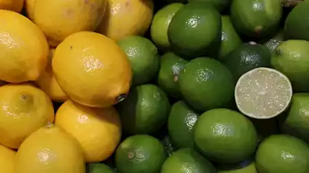 45 جنيهًا لكيلو الليمون.. فما السبب وراء ارتفاع أسعاره؟ | مصراوى