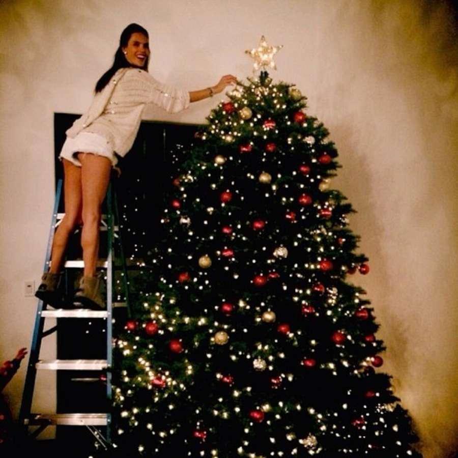 "أليساندرا أمبريوزو" تزيّن شجرة الميلاد                                                                                                               
