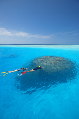 Snorkeling