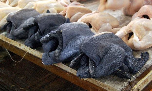 black-chicken