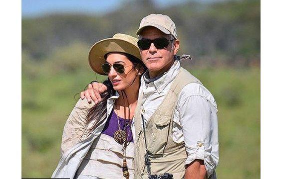 تطور العلاقه بين  George Clooney والمحامية اللبنانية أمل علم الدين                                                                                    