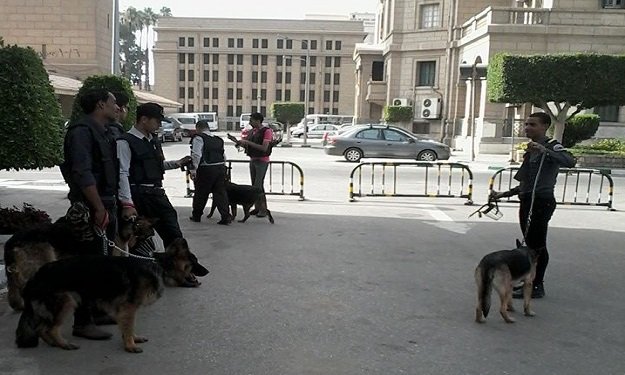 بالصور.. كلاب بوليسية لتأمين احتفالية انتهاء العام الدراسي بجامعة القاهرة