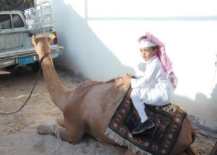 سعودى يوصل ابنه للمدرسة فى أول يوم على ظهر جمل                                                                                                        