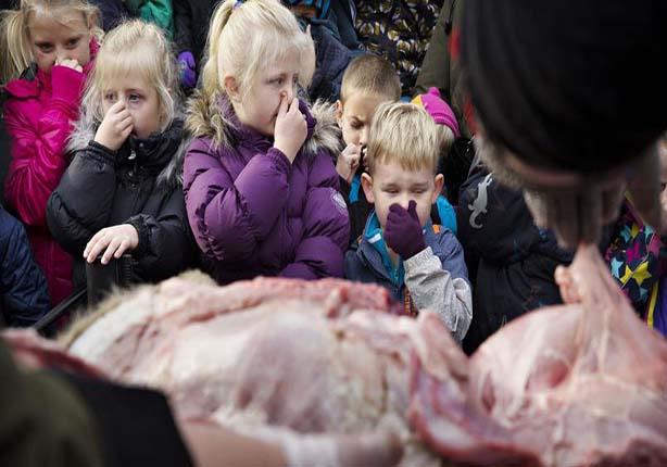 أطفال يحضرون تشريح اسد في حديقة حيوان                                                                                                                                                                   