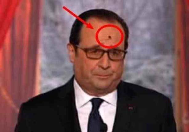 ذبابة تستفز الرئيس الفرنسي                                                                                                                                                                              