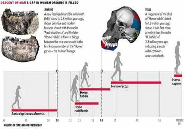 اكتشاف فك إنسان هومو عمره 2.8 مليون سنة                                                                                                                                                                 