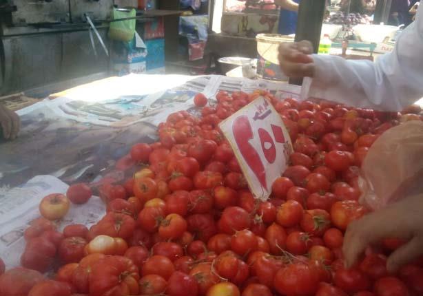 الطماطم تنخفض إلى 2.5 جنيه بالإسماعيلية بسبب وزير التموين                                                                                                                                               