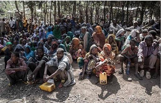 مجاعة في اثيوبيا (1)                                                                                                                                                                                    