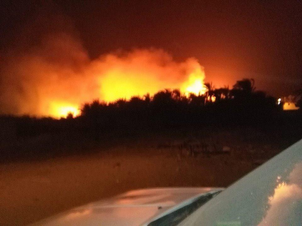 8 سيارات مطافئ لإخماد حريق 15 فدان مزارع بالوادي الجديد (1)                                                                                                                                             