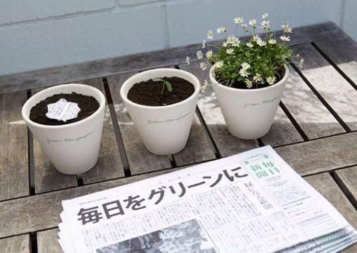 أوراق صحيفة يابانية تتحول إلى أشجار بعد الإنتهاء من قراءتها!                                                                                                                                            
