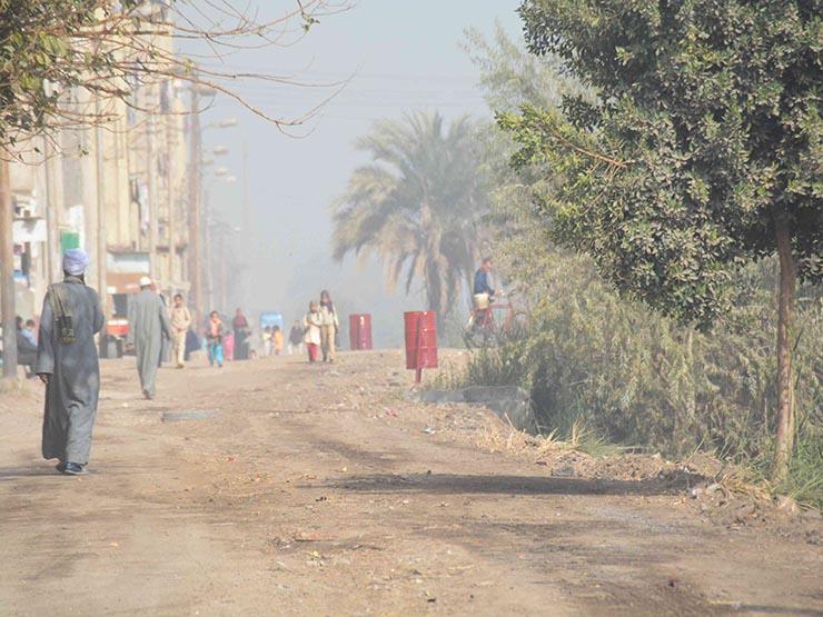 زراعة الشجر المثمر في مراكز المنيا (1)                                                                                                                                                                  