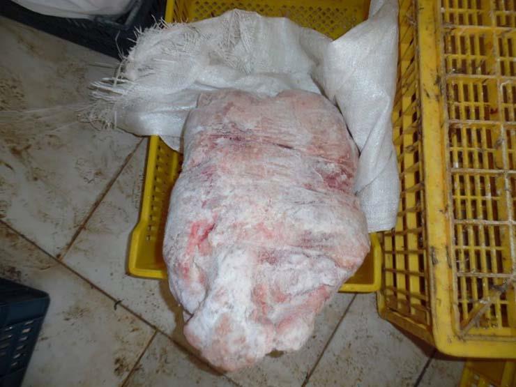 إعدام طن لحوم طيور فاسدة في كفر الشيخ (1)                                                                                                                                                               