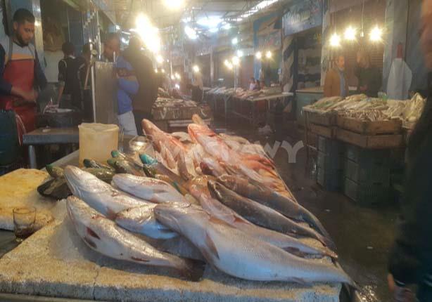 مقاطعة شراء الأسماك بالسويس (1)                                                                                                                                                                         