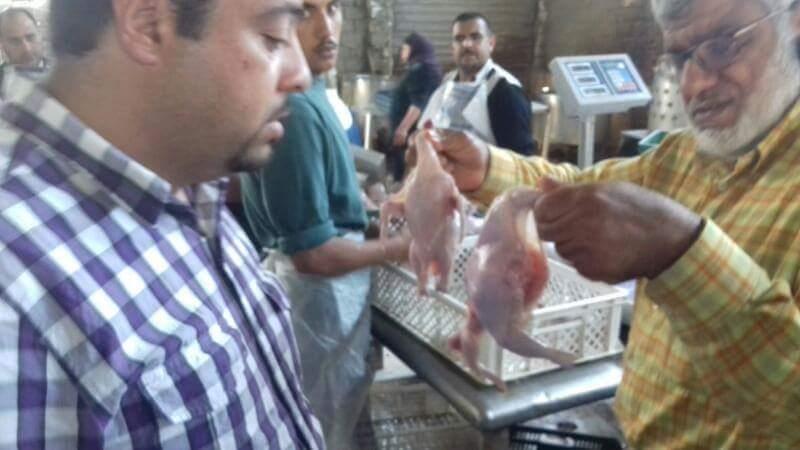 ضبط ١٢٢ كيلو دجاج فاسد في حملة تموينية بكفر الشيخ (1)                                                                                                                                                   