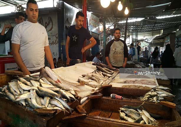 أزمة ارتفاع أسعار الأسماك (1)                                                                                                                                                                           