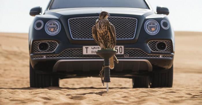 بنتلي Bentayga Falconry                                                                                                                                                                                 