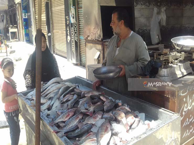 مصراوي في أسواق الأسماك بكفر الشيخ.. أسعار نار وإقبال متوسط  (1)                                                                                                                                        