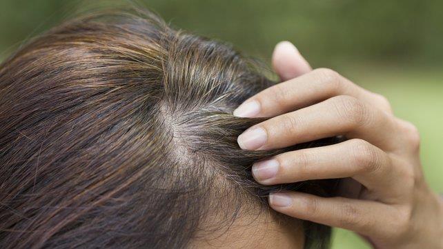 هل يتسبب نتف الشعر الشائب في النمو في مكانها أو لا ؟