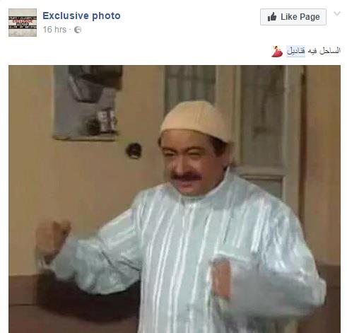 سخرية السوشيال ميديا من انتشار القناديل                                                                                                                                                                 