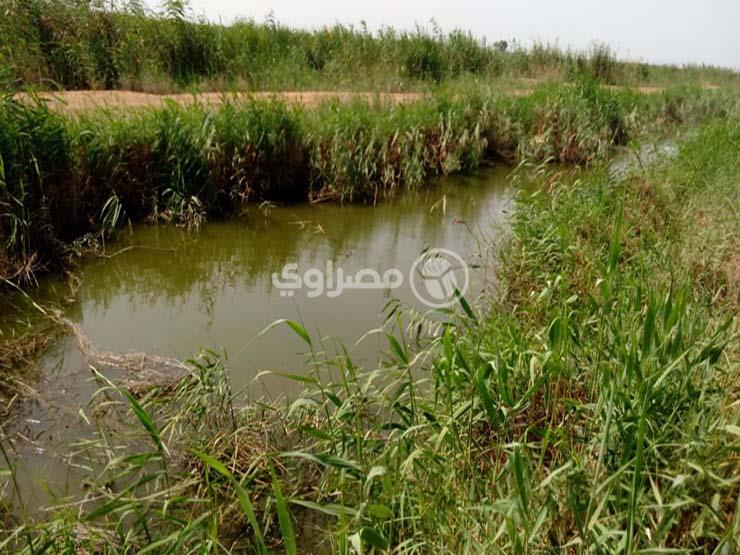  أحواض ترسيب المحطة البيولوجية بجنوب محافظة بورسعيد                                                                                                                                                     