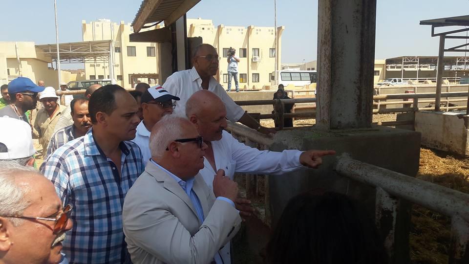 افتتاح عنبر بمجزر القابوطي الجديد في بورسعيد                                                                                                                                                            