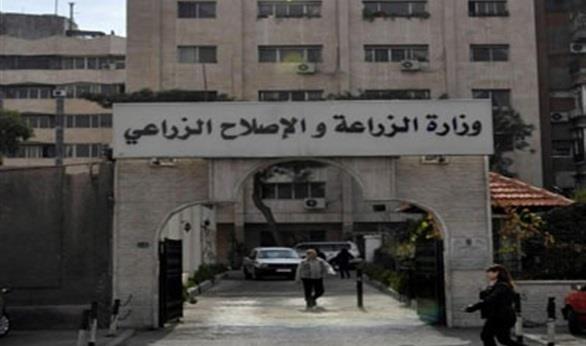"الزراعة": ضبط أكثر من 845 طن لحوم وأسماك غير صالحة خلال 6 أشهر "الزراعة": ضبط أكثر من 845 طن لحوم وأسماك غير صالحة خلال 6 أشهر